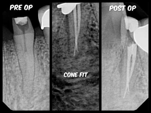 Gulf Coast Endo photo