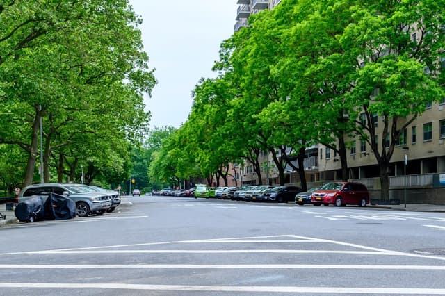 Smiles on the Upper Westside photo